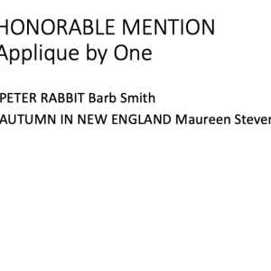 Our apologies...photos were not available. If you have a complete photo of any of these quilts or would like to arrange a photo shoot of the quilt, contact us at website@boisebasinquilters.org.