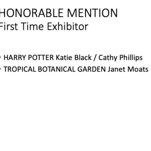 2019 Honorable-Mention First Time Exhibitor Black Phillips Moats