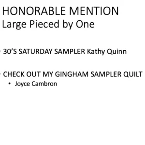 2019 Honorable Mention Large Pieced by One. Kathy Quinn and Joyce Cambron