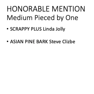 2019 Honorable Mention Medium Pieced by One Linda Jolly and Steve Clizbe