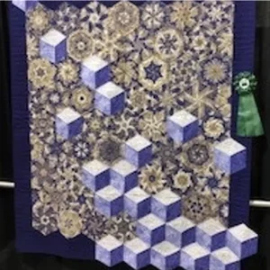 2019 Quilt Show Chair Award-Medium Pieced by 2 or More-Stack N Whack:Tumbling Block-Penny Andrew:Tamera Pugh