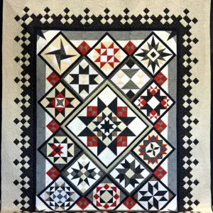 2019 Second Place-Large Pieced by One-Who Doesn't Love Star Blocks-Becky Kinzer