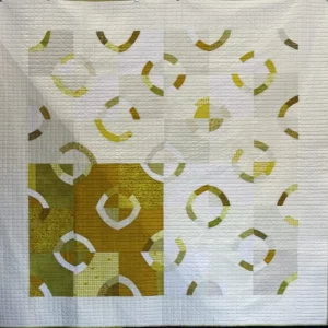2019 Second Place-Modern Quilts-Improv Circles-Linda Jolly