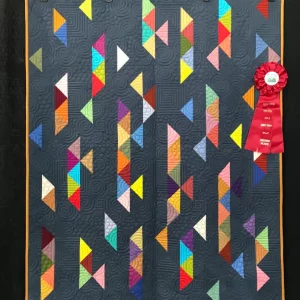 2022 SECOND PLACE-Modern Quilts-Jacque's 44 Solids-Cheryl Little-Quilted by My Quilting Corner