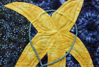 Star Wrangler" close-up; pieced by Dashiel Smith; stationary machine quilted by Barbara Smith. 2nd Place Youth. 3rd Youth Viewers' Choice