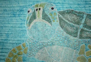 "Tuttle" close-up; pieced and stationary machine quilted by Karen Falvey. 2nd place in Specialty. next
