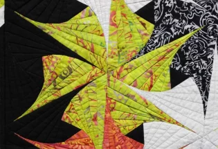 "Twist 'n Shout" close-up; pieced and stationary machine quilted by Sharon Beidler. 3rd place in Small Pieced by One.