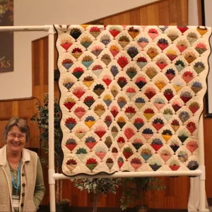 Dresden Sunday by Sandi Lockhart. This quilt was made from scraps and was hand appliquéd and hand quilted.
